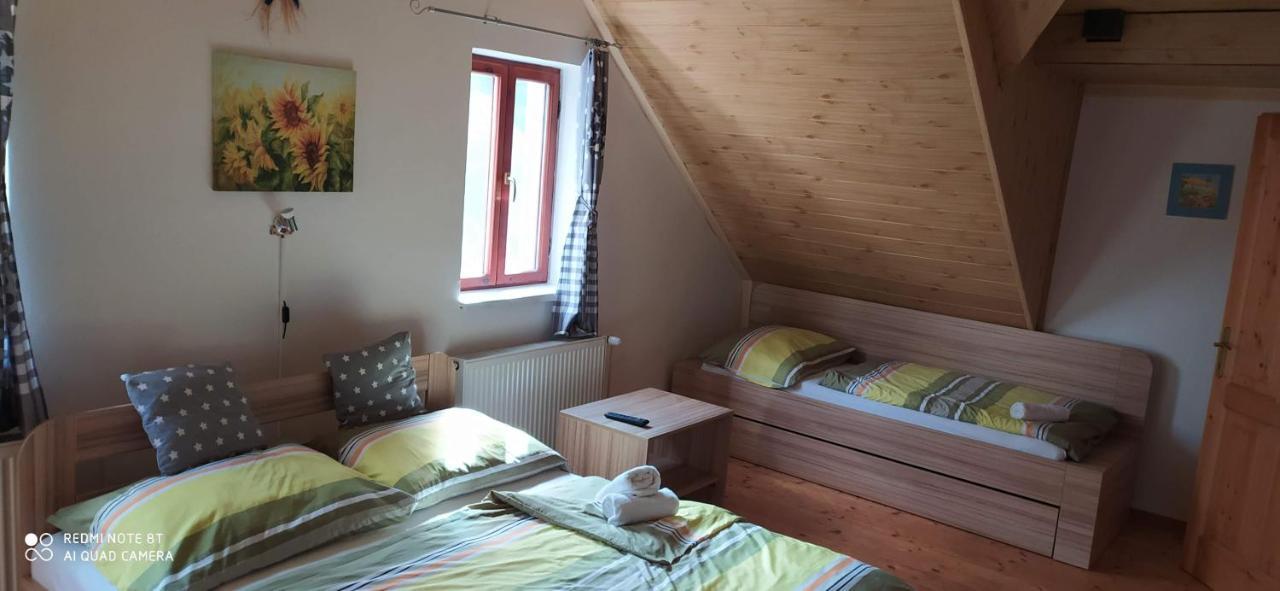Apartmany Natalie Dvory nad Luznici Екстериор снимка